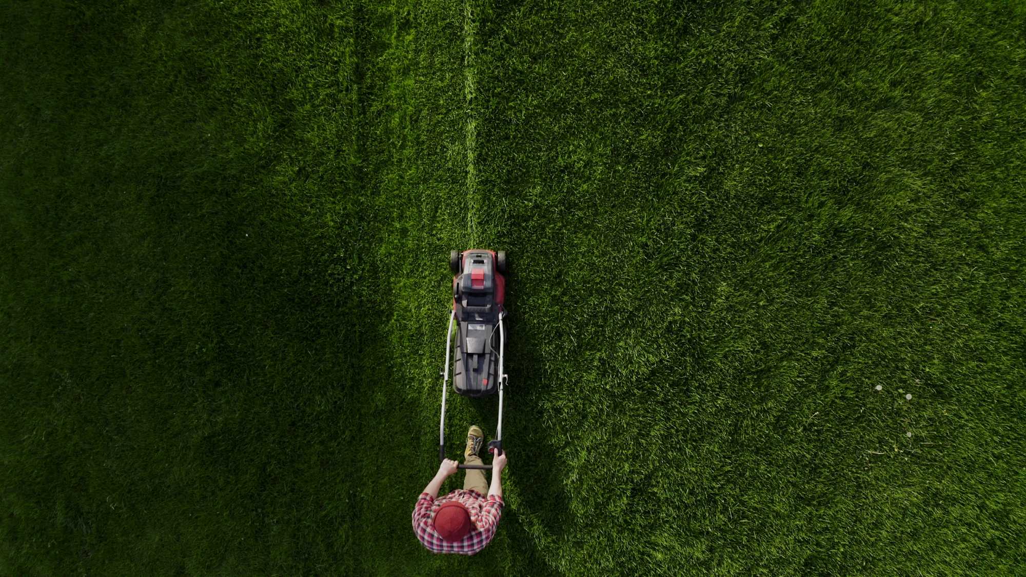 Freshly mowed lawn