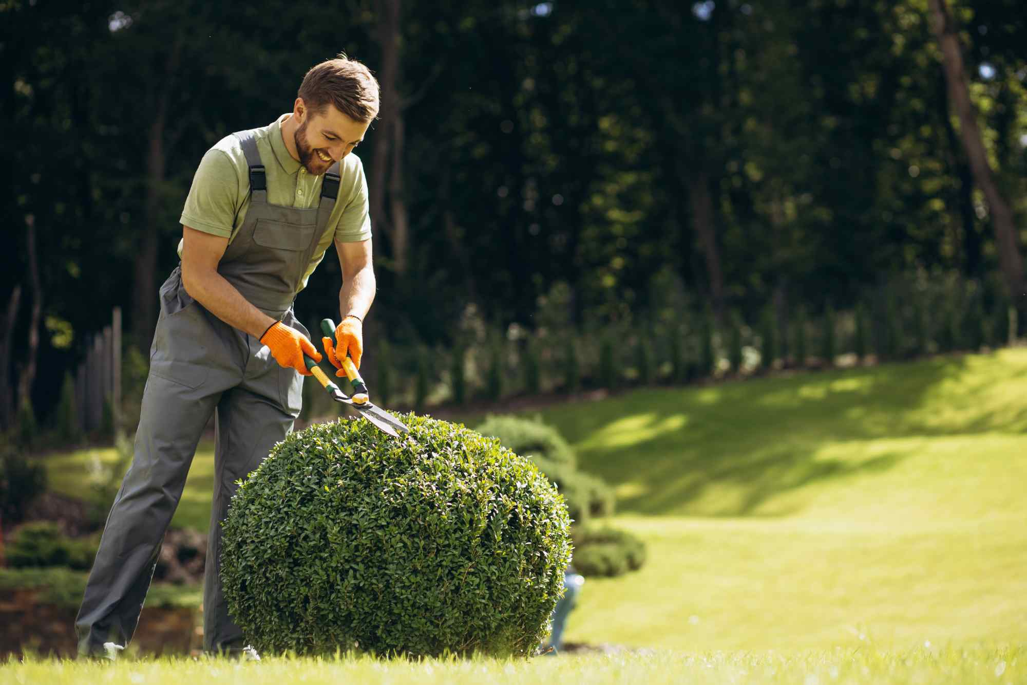 Native Green gardener trimming a hedge