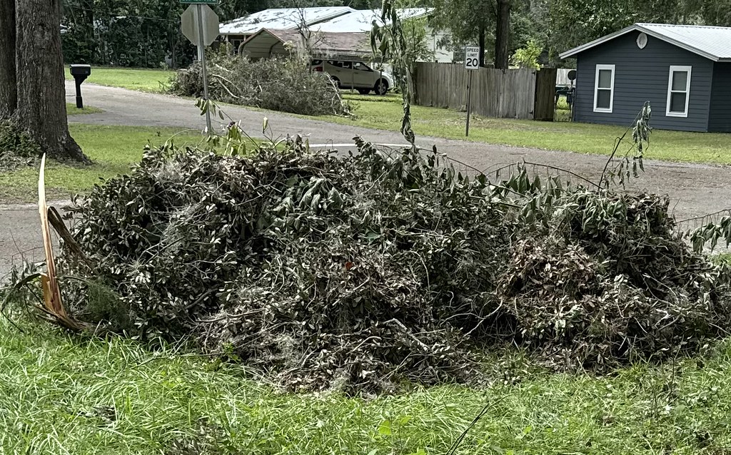 Rubbish Removal