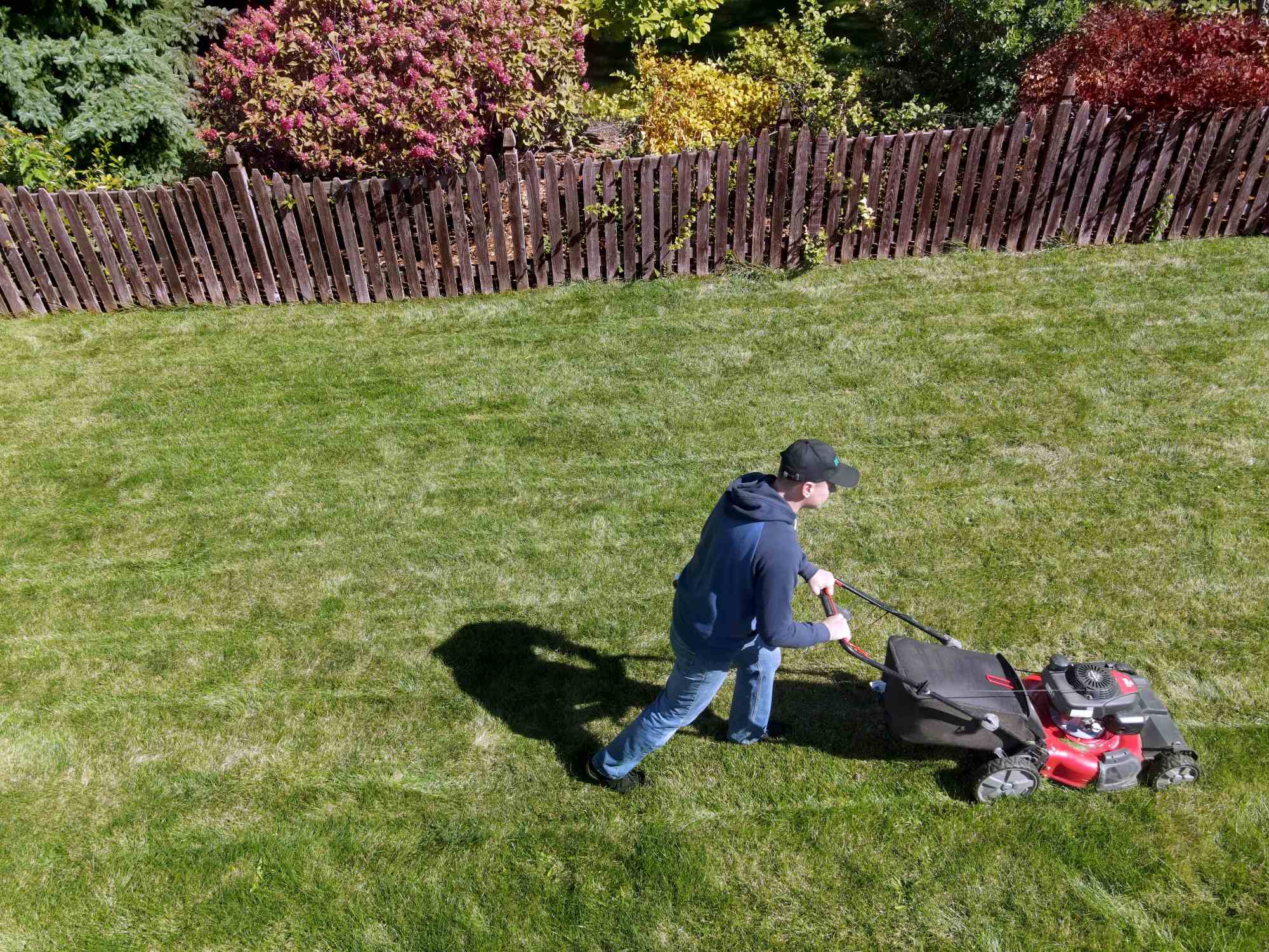 Lawn Mowing